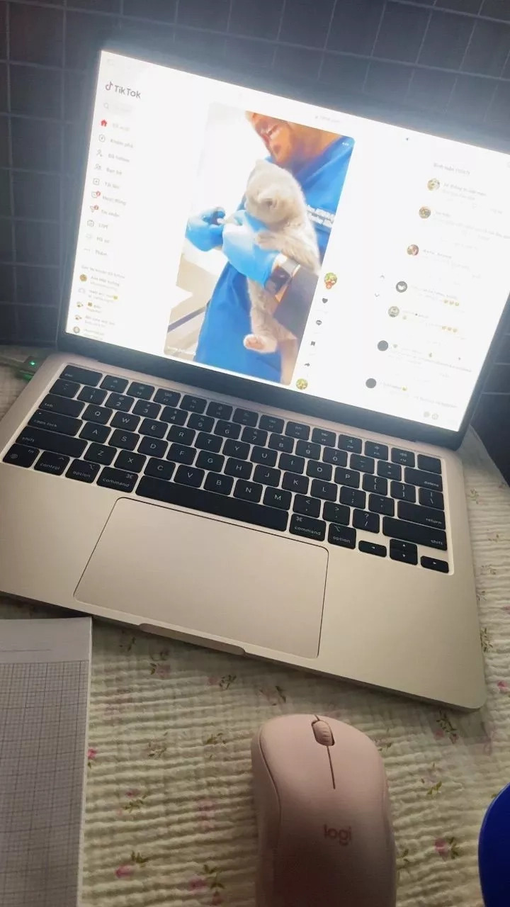 Facebook Marketplace